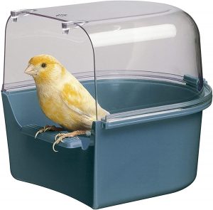 bañera para canarios